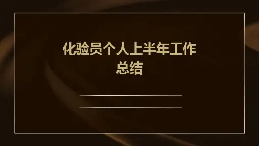 化验员个人上半年工作总结PPT