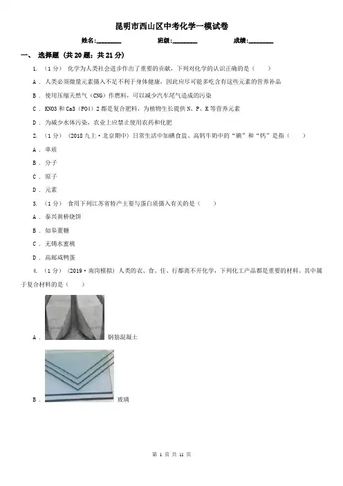 昆明市西山区中考化学一模试卷