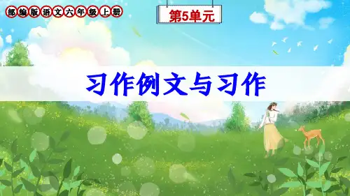 部编版语文六年级上册第5单元《习作例文与习作》课件