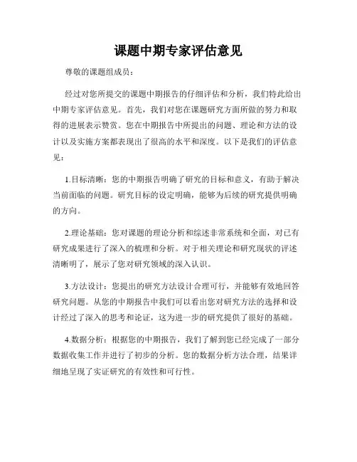 课题中期专家评估意见