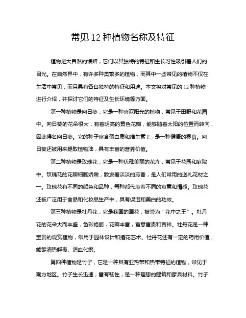 常见12种植物名称及特征