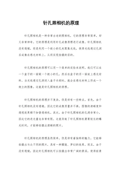 针孔照相机的原理