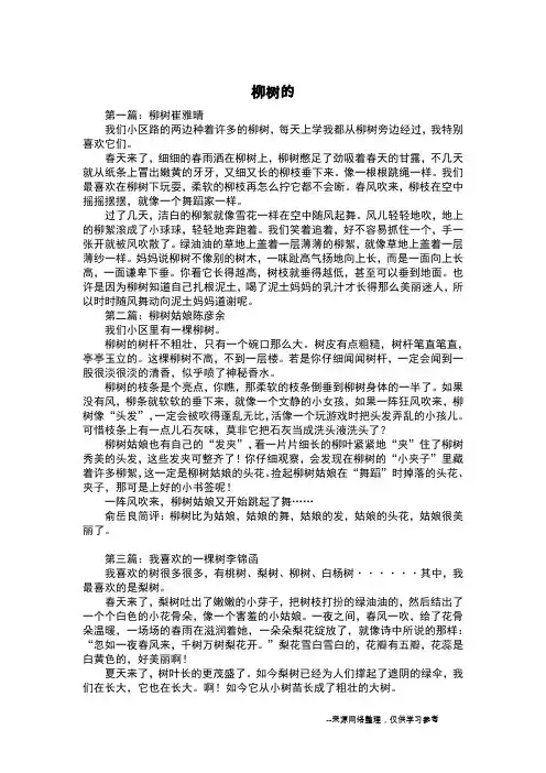 柳树的_写景作文