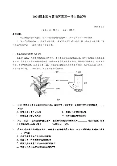 2024届上海市黄浦区高三一模生物试卷(含答案)