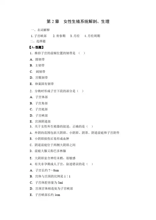 女性生殖系统解剖生理