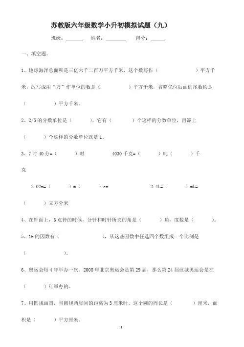 苏教版六年级数学小升初模拟试题(九)含答案