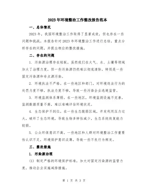 2023年环境整治工作整改报告范本