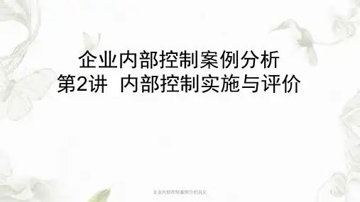 企业内部控制案例分析讲义ppt课件