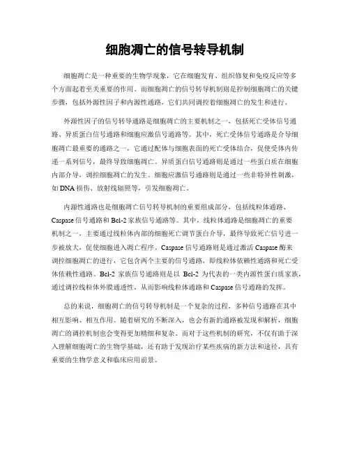 细胞凋亡的信号转导机制