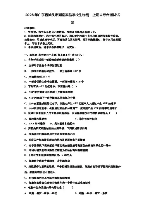 2023年广东省汕头市潮南实验学校生物高一上期末综合测试试题含解析