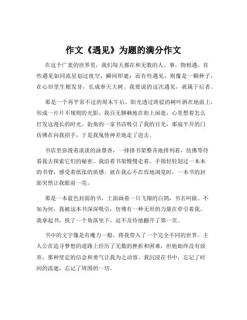 作文《遇见》为题的满分作文