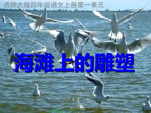 海滩上的雕塑PPT(西师大版上册)优质课件PPT