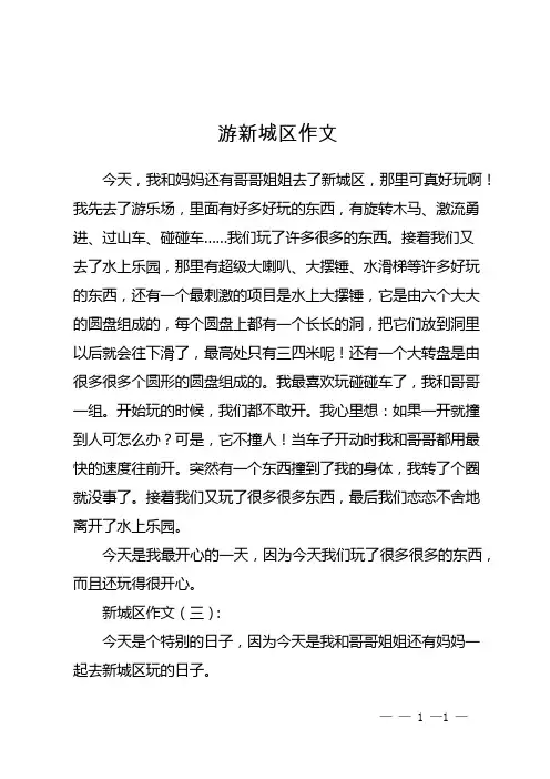 游新城区作文