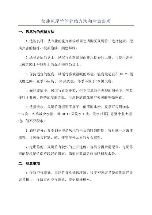 盆栽凤尾竹的养殖方法和注意事项