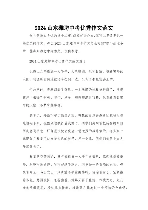 2024山东潍坊中考优秀作文范文