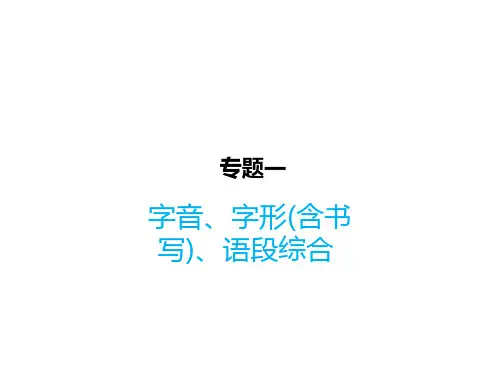 专题一字音字形含书写语段综合