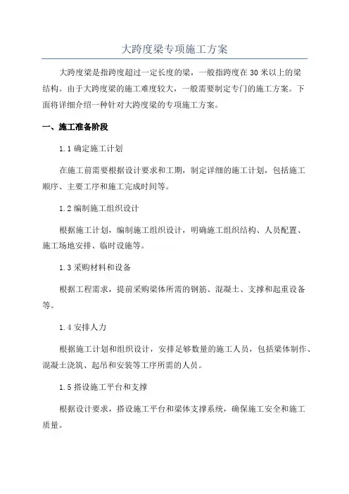 大跨度梁专项施工方案