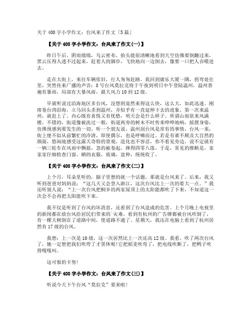 400字小学作文：台风来了作文「」