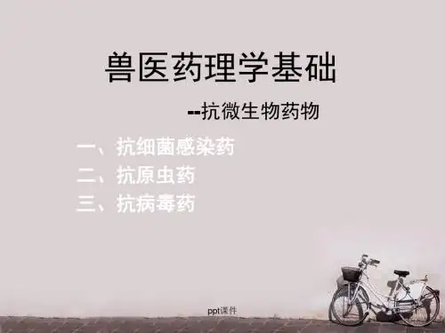 兽医药理学基础  ppt课件