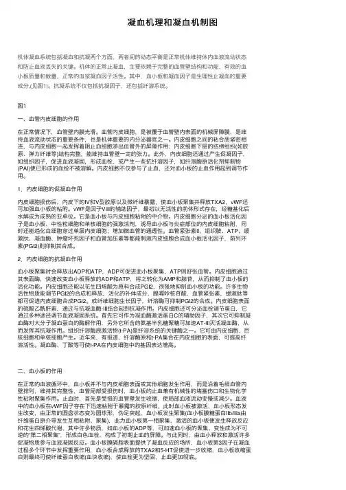 凝血机理和凝血机制图