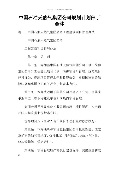 中国石油天然气集团公司规划计划部丁金林