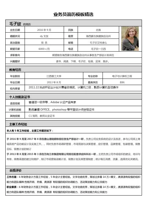 业务员简历模板精选