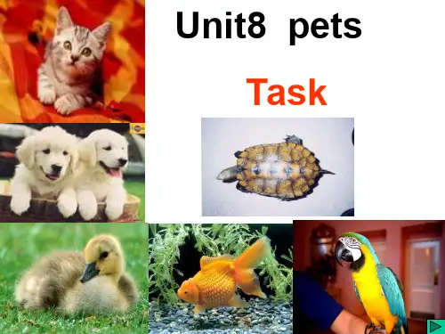Unit8 Pets Task课件牛津译林版七年级下册英语