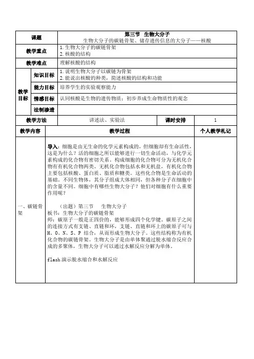 碳链骨架、核酸
