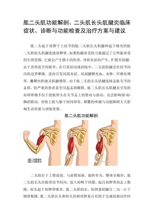 肱二头肌功能解剖、二头肌长头肌腱炎临床症状、诊断与功能检查及治疗方案与建议