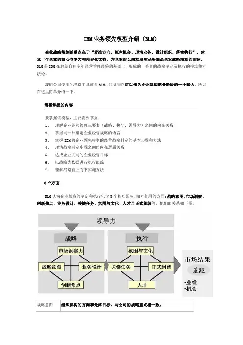 IBM业务领先模型介绍(BLM)