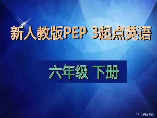 新人教版PEP上海牛津3起点英语六年级下册unit3 Where did you go ppt课件