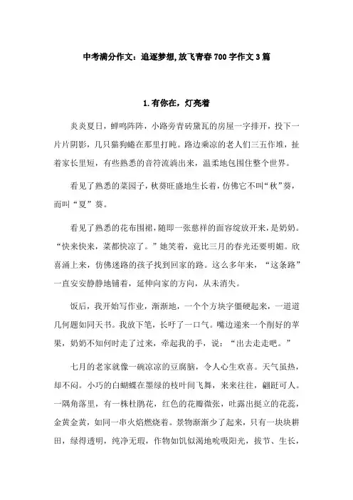 追逐梦想,放飞青春700字作文