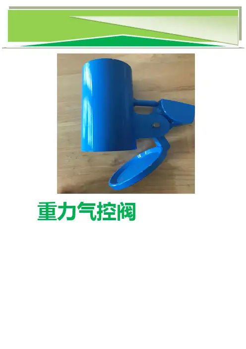 青少年科技创新大赛创新发明获奖作品《重力气控阀》