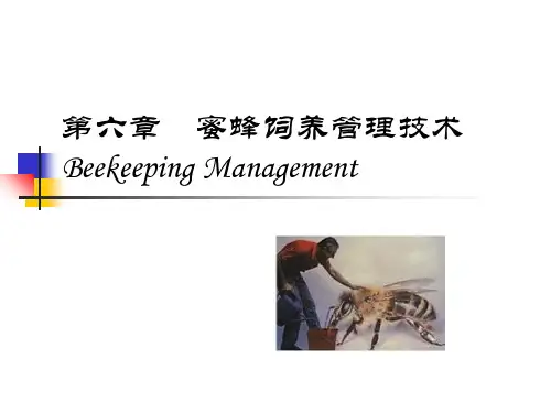 (蜜蜂学课件)第六章 蜜蜂饲养管理技术