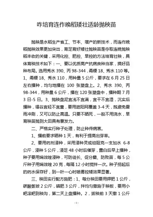 咋培育连作晚稻矮壮适龄抛秧苗