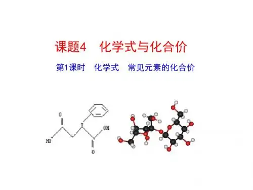 人教版九年级化学课件：4.4第1课时 化学式 (共26张PPT)