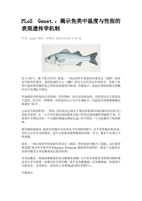 揭示鱼类中温度与性别的表观遗传学机制