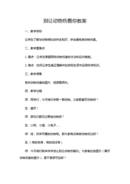 别让动物伤着你教案