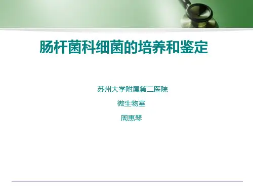 肠杆菌科细菌的培养与鉴定