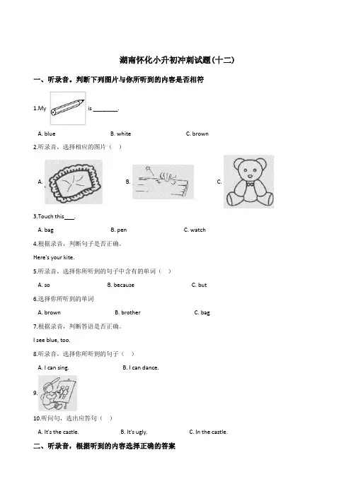六年级下册英语试题：2019湖南怀化小升初冲刺试卷(十二)人教(PEP)含答案