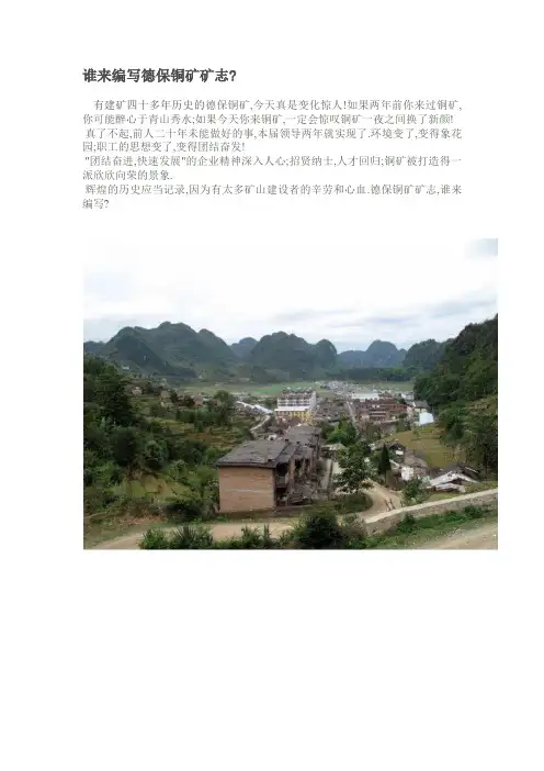 广西德保铜矿--矿志？