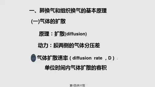 气体的扩散原理PPT课件