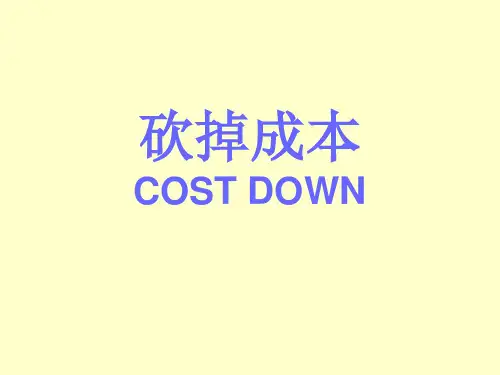 砍掉成本-COST DOWN