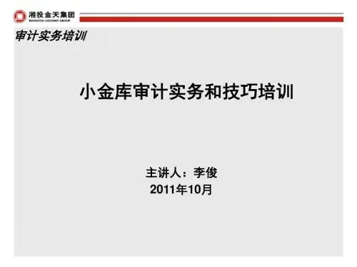 公司小金库审计实务和技巧培训ppt课件