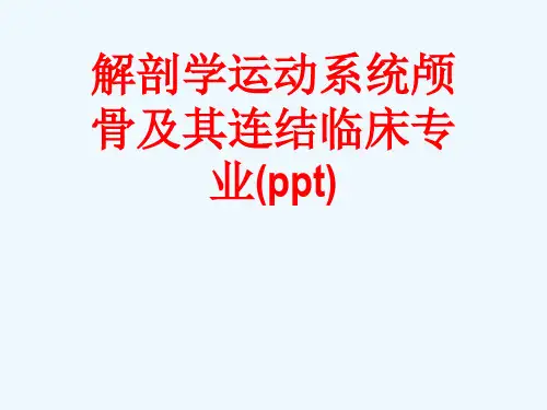 解剖学运动系统颅骨及其连结临床专业(ppt)