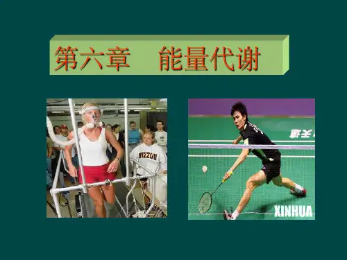 王步标运动生理学第六章能量代谢与运动