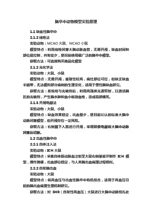脑卒中动物模型实验原理