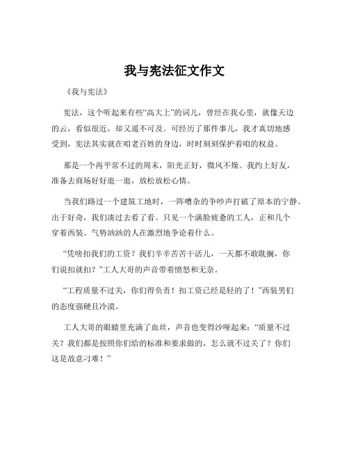 我与宪法征文作文