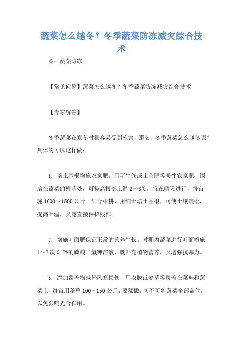 蔬菜怎么越冬？冬季蔬菜防冻减灾综合技术