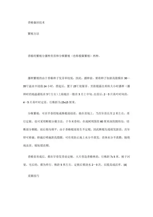 香椿栽培技术
